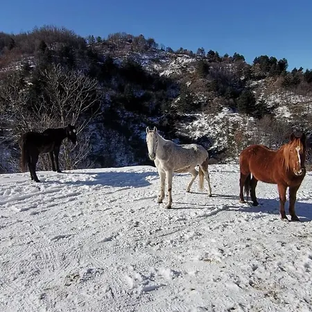 La Locanda Del Poeta Bauernhof