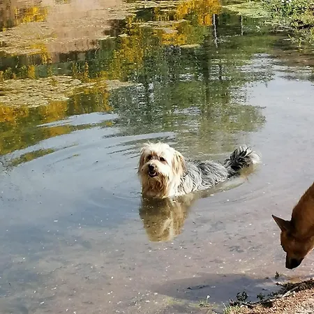 La Locanda Del Poeta Bauernhof *