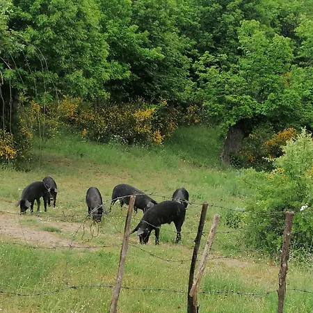 La Locanda Del Poeta Bauernhof Acri