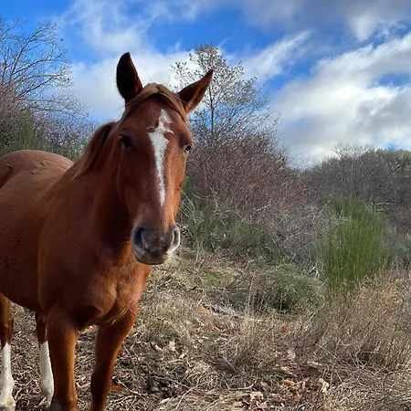 La Locanda Del Poeta * Acri