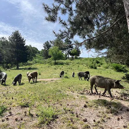 Bauernhof La Locanda Del Poeta Acri