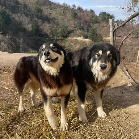La Locanda Del Poeta Bauernhof *