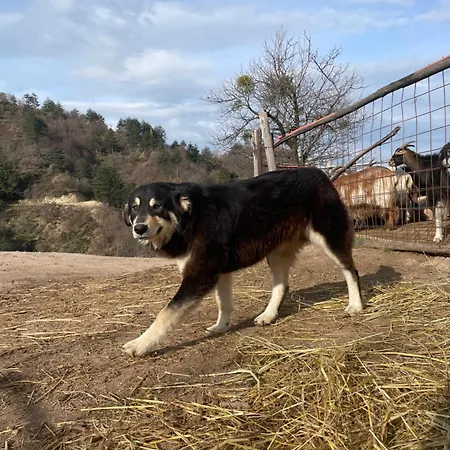 La Locanda Del Poeta