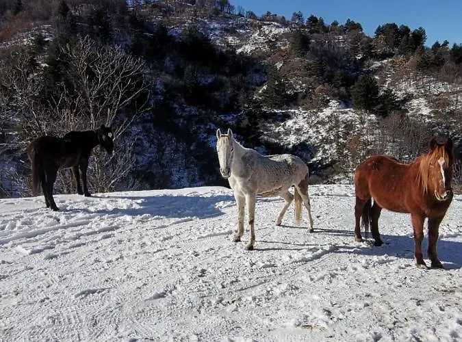 La Del Poeta Alloggio per agriturismo