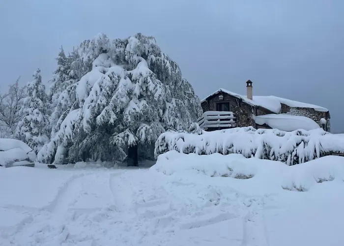 Alloggio per agriturismo La Del Poeta Acri
