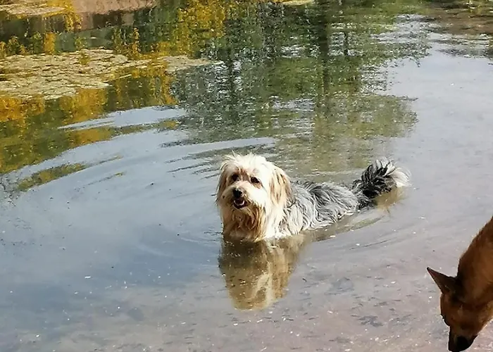 La Del Poeta Alloggio per agriturismo *