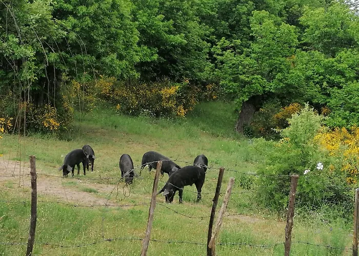 La Del Poeta Alloggio per agriturismo Acri