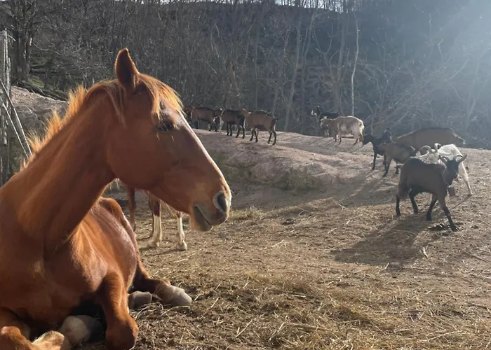 La Del Poeta Alloggio per agriturismo Acri