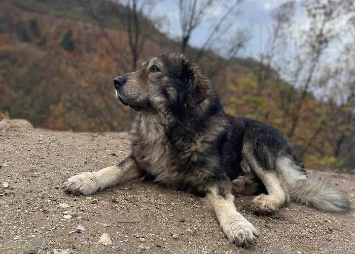 Alloggio per agriturismo La Del Poeta Acri