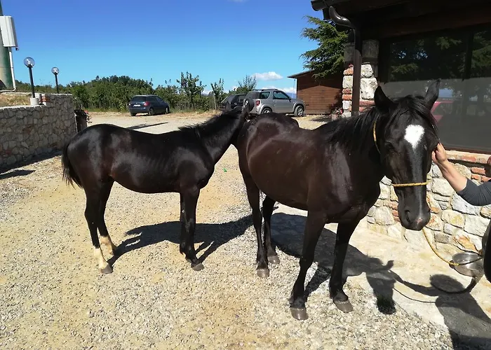 La Del Poeta Alloggio per agriturismo