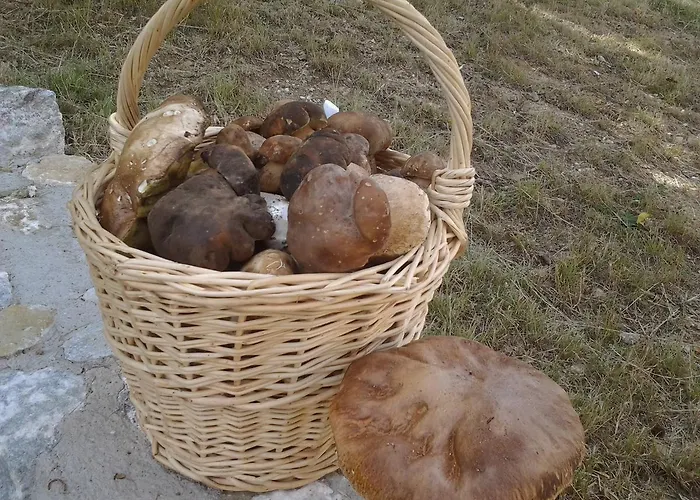 La Del Poeta Alloggio per agriturismo